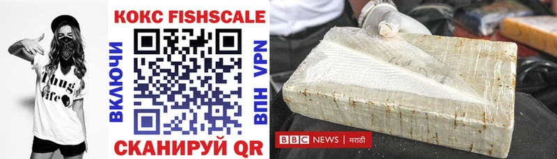 COCAIN Fish Scale  даркнет сайт  Александров 