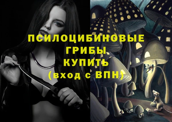 альфа пвп Киреевск