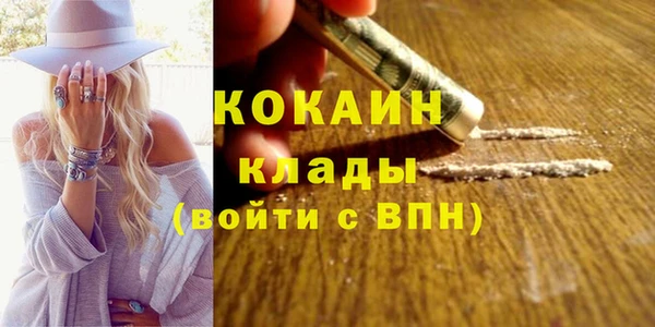 альфа пвп Заводоуковск