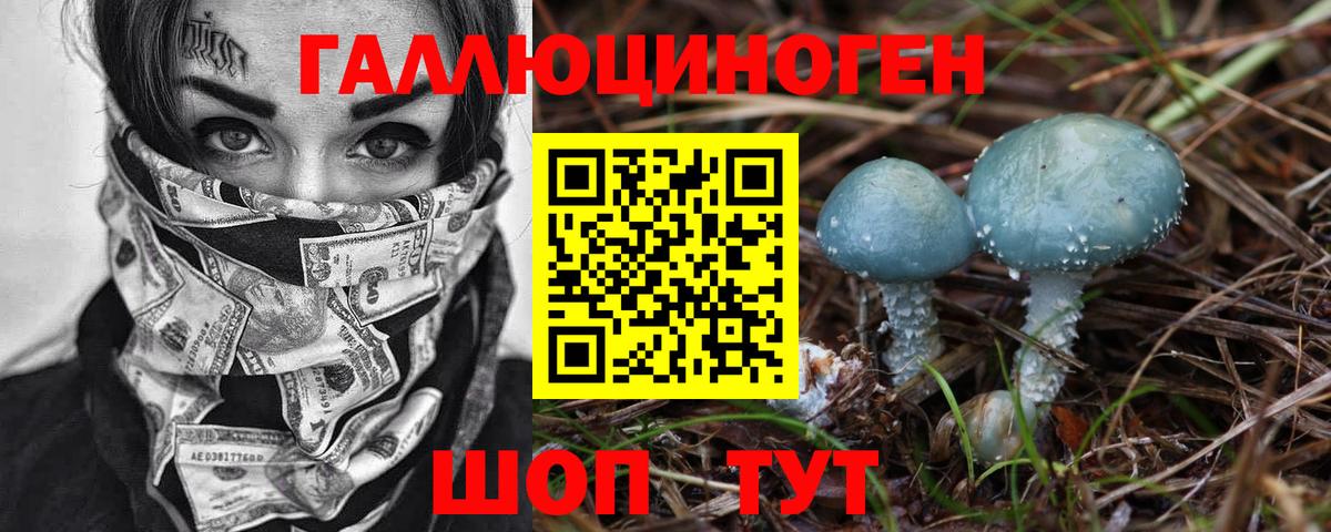 Псилоцибиновые грибы GOLDEN TEACHER Александров