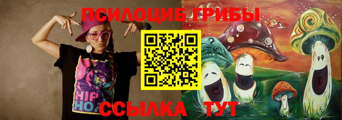 Александров  Галлюциногенные грибы Psilocybine cubensis  Вход с VPN 