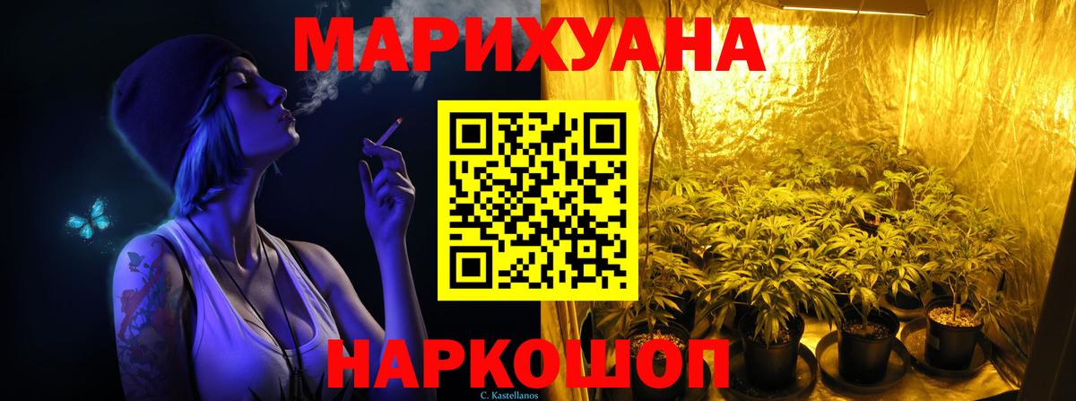 Конопля White Widow  Бошки марихуана план  Александров  Вход с VPN  Конопля планчик 